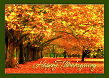 Canopy of Gold Thanksgiving Cards